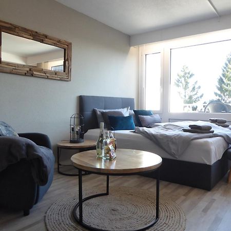 Mountain Suite Winterberg Pool Sauna Hund 4 Pers Wifi Near Bikepark Exterior photo